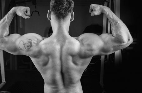 Build  a Stack on Your Back